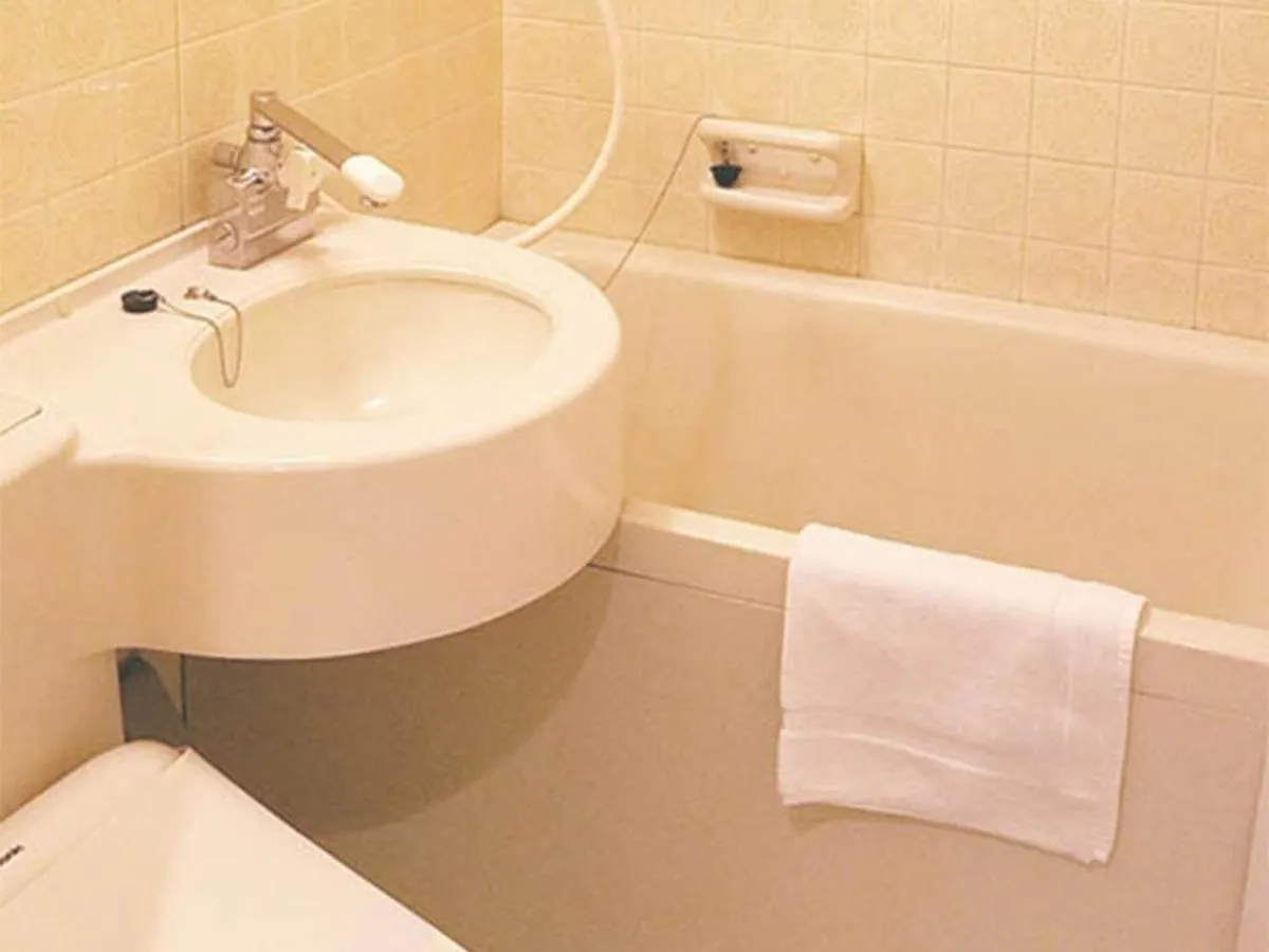Hotel Neo Rouge Tokyo